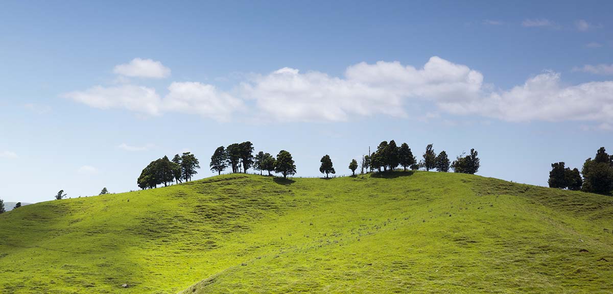 Paisaje de Nueva Zelanda